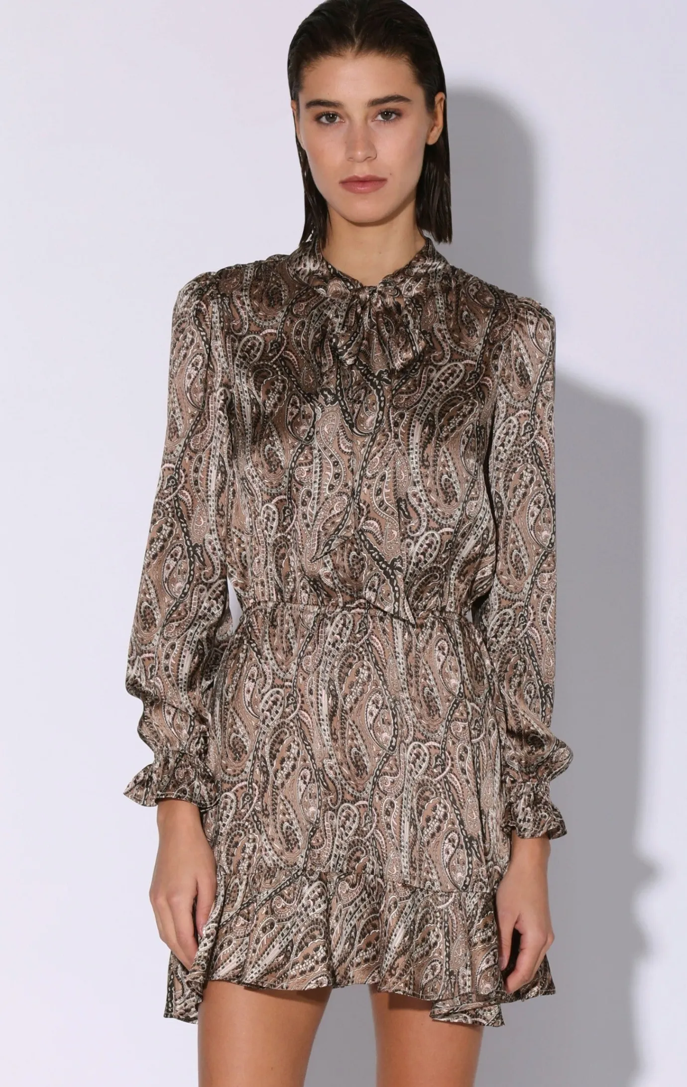 Walter Baker Larana Dress, Desert Paisley^Women Dresses