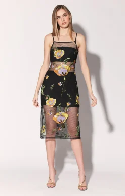 Walter Baker Petra Dress, Garden Embroidery^Women Dresses